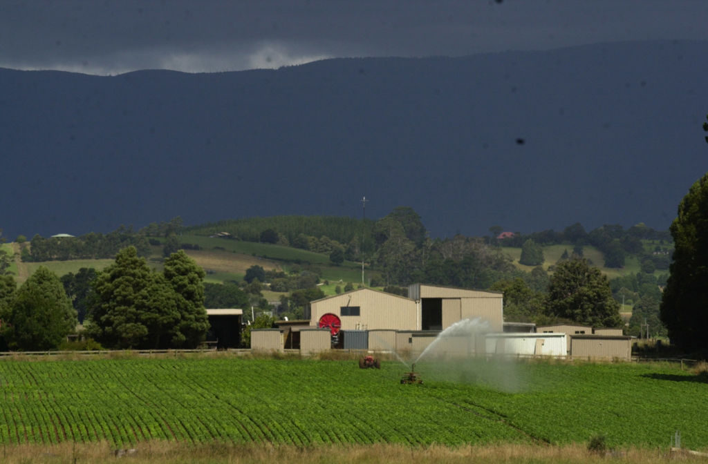 The countryside around Scottsdale suits agriculture well. Photo: The Launceston Examiner