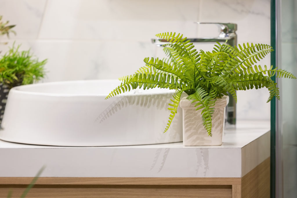 Plants like ferns thrive in bathrooms due to the humidity. Photo: iStock