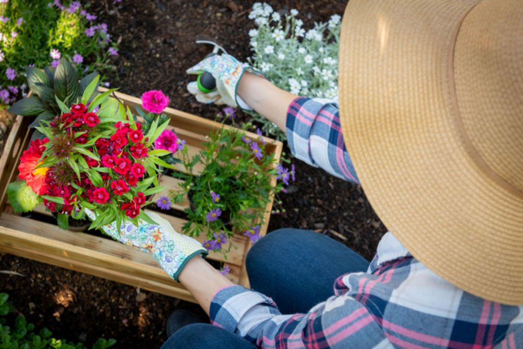 Runoff (from downpipes and paths) can be directed into your garden. Photo: iStock