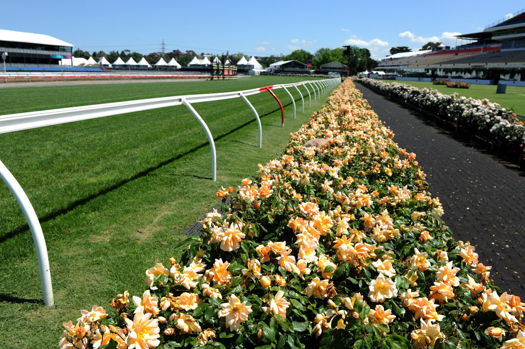 The roses at Flemington are always perfectly preened this time of year. Photo: Pat Scala