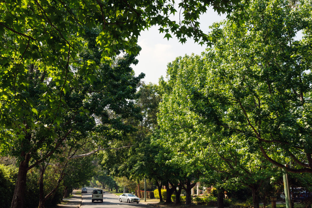 The suburb is about 35 kilometres from Sydney CBD and was once used for fruit-growing and market gardening. Photo: Steven Woodburn