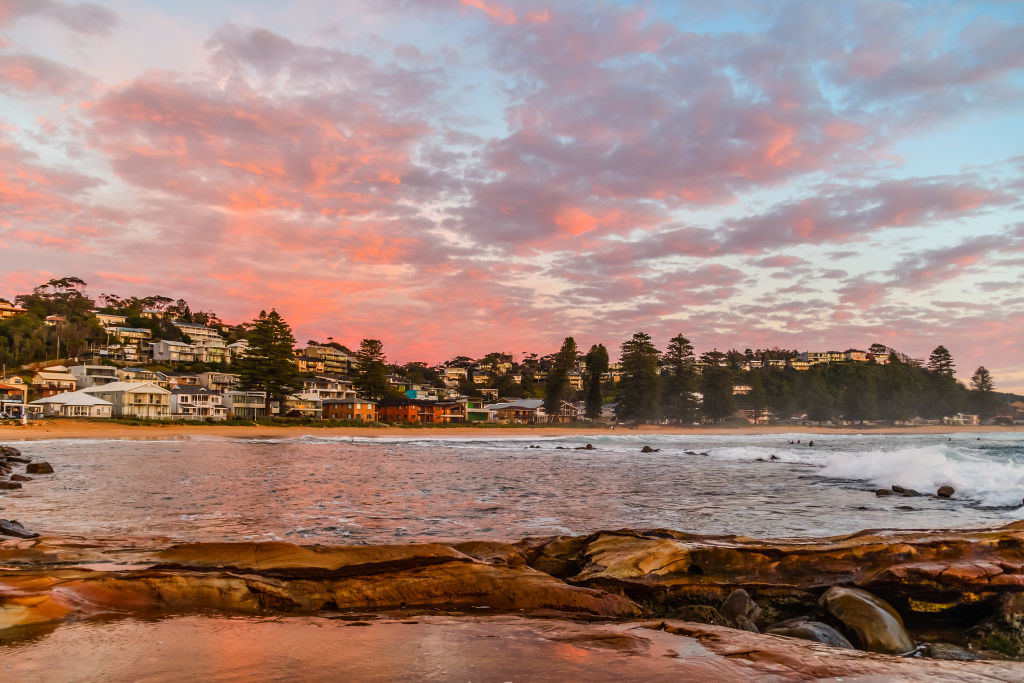 Local agent Matthew Ellis says Avoca Beach continues to grow more popular. Photo: iStock