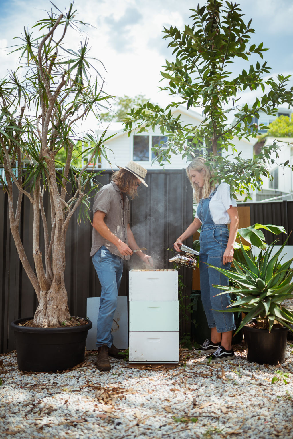 Having a hive is a great thing you can do to help the world at large. Photo: Alex Carlyle