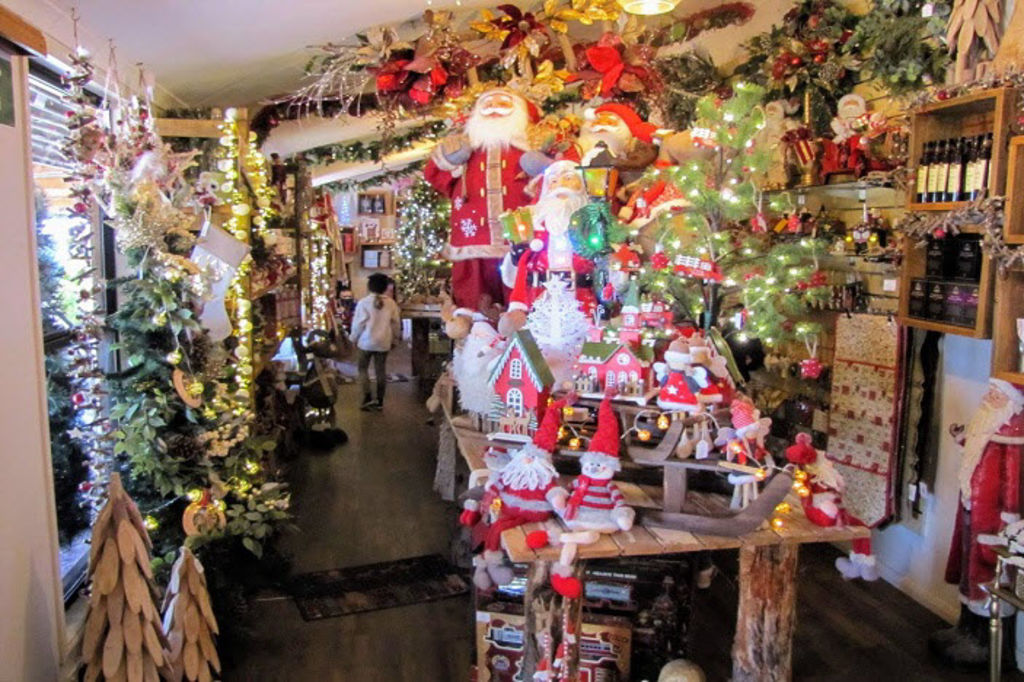 How one couple built a popular Christmas tree farm outside Stanthorpe