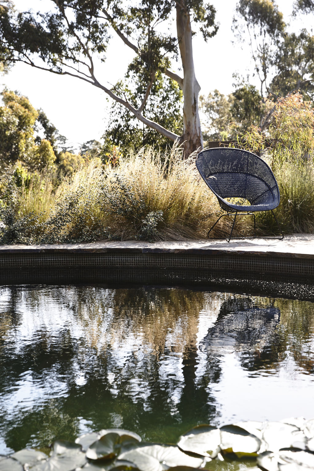 Kennedy Nolan worked with Natural Swimming Pools Australia to create a living water pool for their Fairfield residential project.  Photo: Derek Swalwell