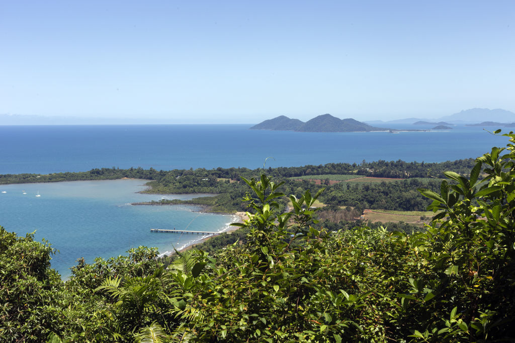 Dunk Island view from Bicton Hill. Photo: Jennifer Morton