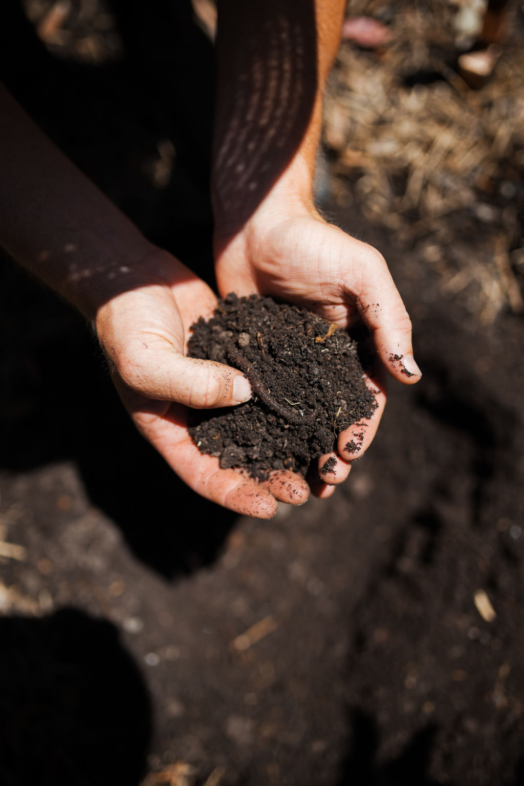 The most important thing to remember is not to use harsh pesticides or herbicides as you’ll wipe out the balance completely.  Photo: Alex Carlyle.