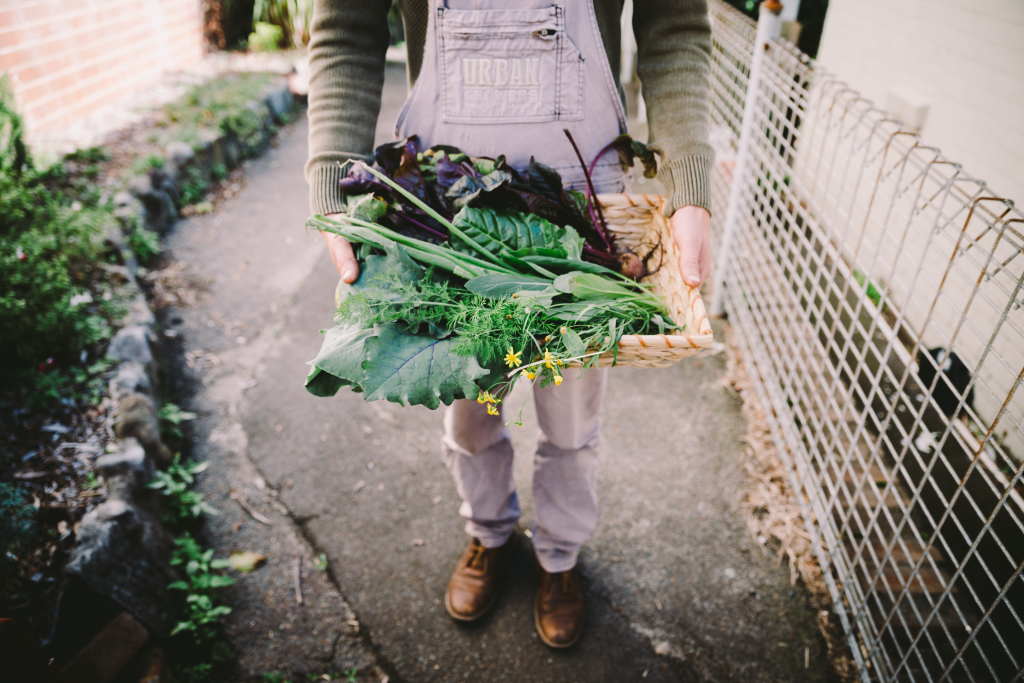 Get ready to plant some leafy greens this spring. Photo: Alex Carlyle