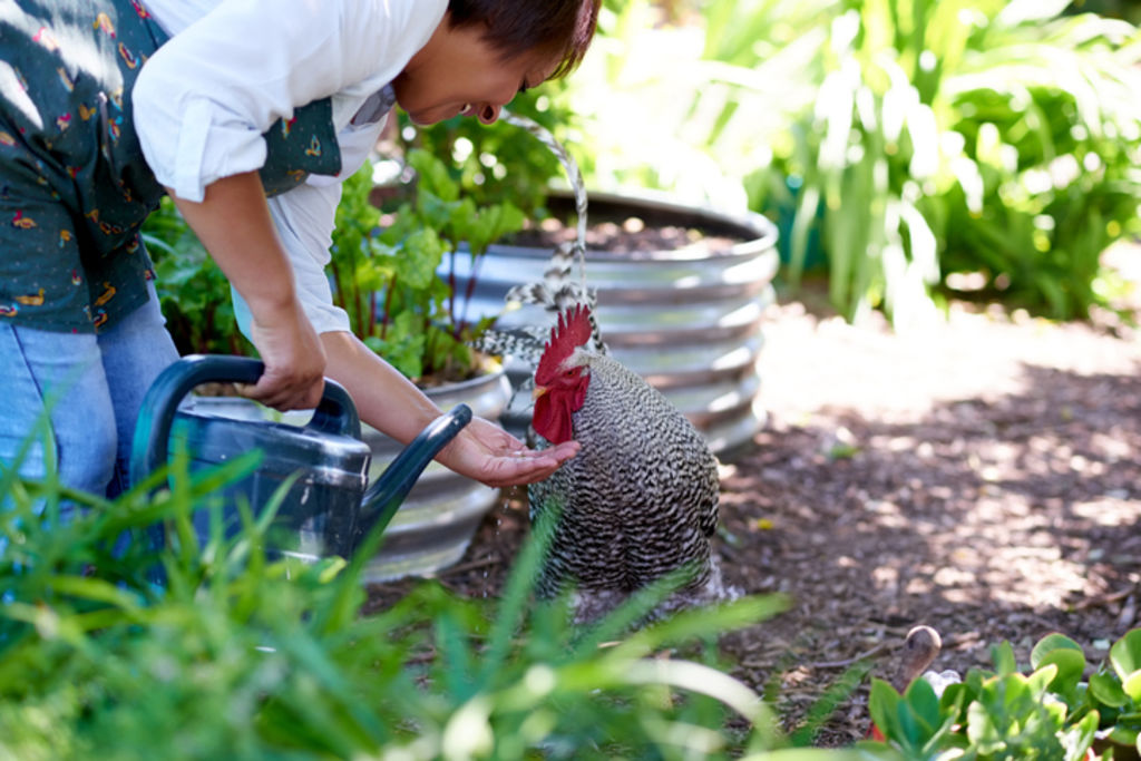 Try as you might, it’s hard to keep them outside. Photo: iStock