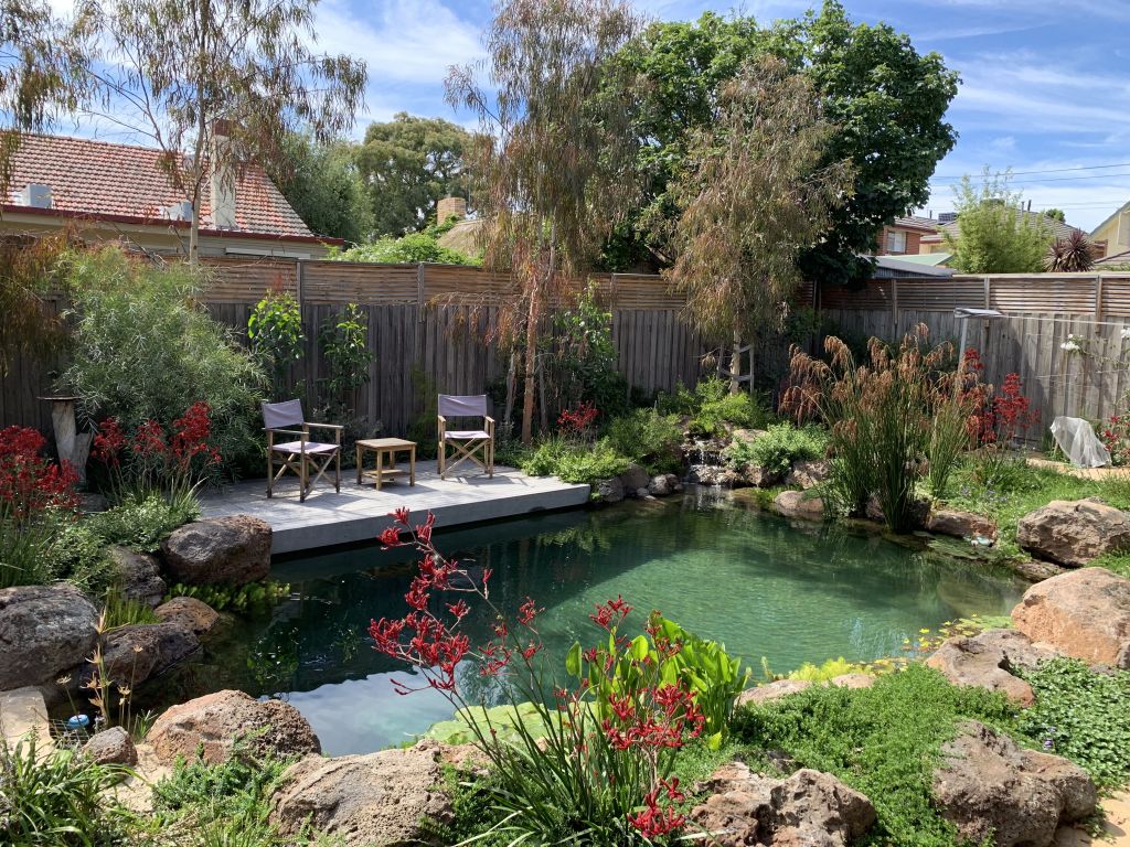 Expensive to install but cheaper in ongoing costs, natural pools are a great option for those with a high-end budget. Photo: Natural Swimming Pools Australia