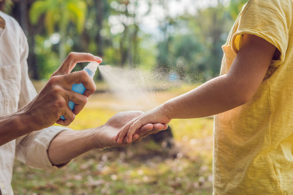 Mosquito repellant containing DEET is most effective. Photo: iStock