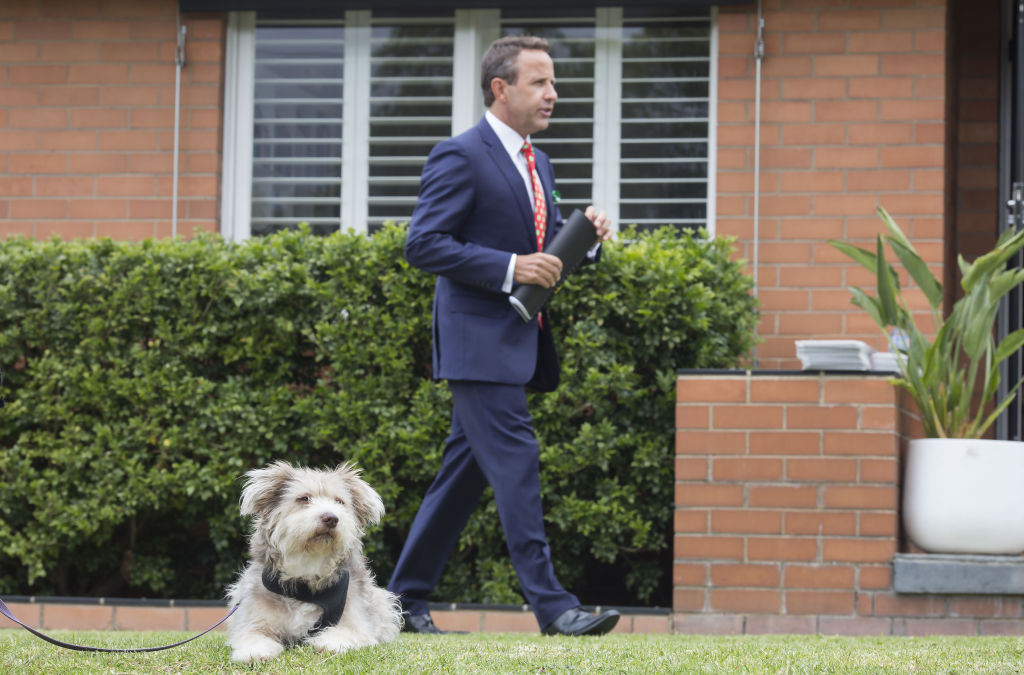 Ryan Currie auctioning with pooch Clancy in the foreground.  Photo: Stephen McKenzie