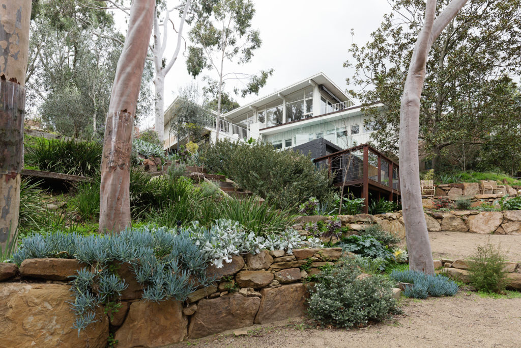 Keeping trees around the property trimmed can minimise risk from storm damage and bushfires. Photo: iStock