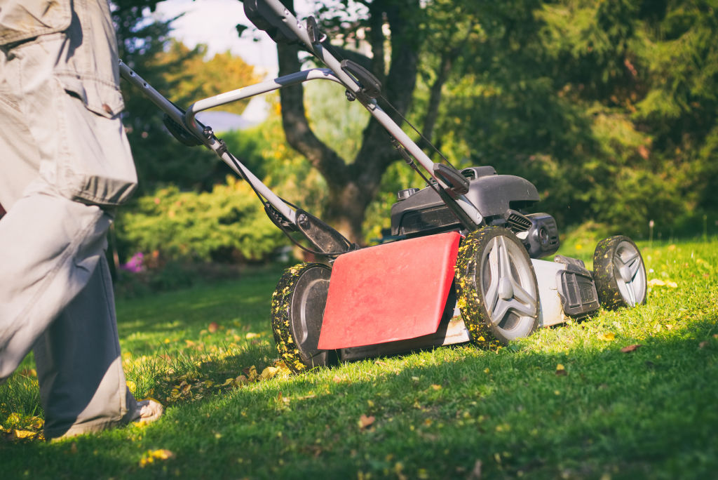 Clippings are chopped finely and left on the grass when mulch mowing. Photo: iStock