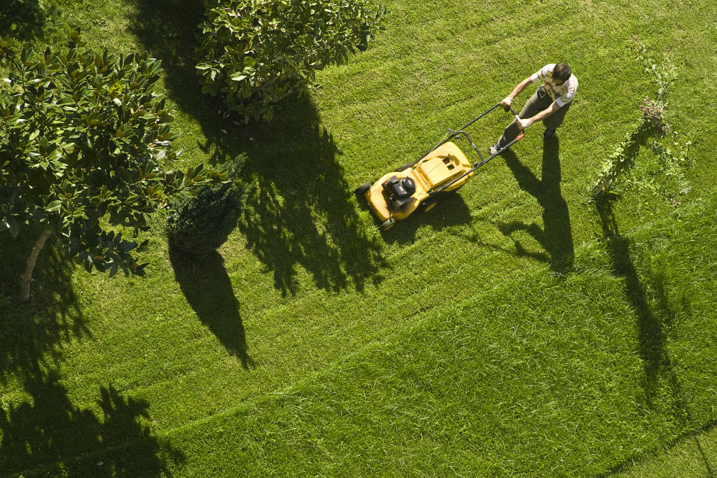 Don't set the mower blade too low, or you'll risk damaging the lawn. Photo: iStock