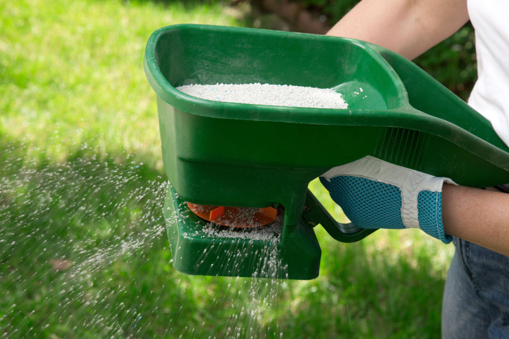 A fertiliser spreader is best for distributing fertiliser granules. Photo: iStock