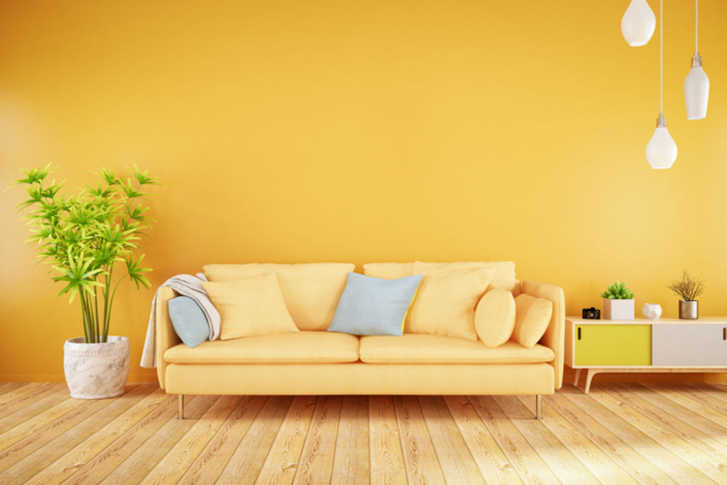 Someone who’s open to experience or is creative will likely have a home that’s highly decorated and colourful.  Photo: iStock