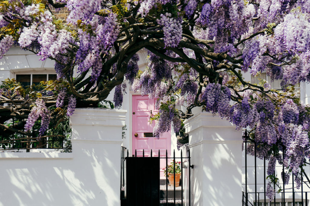 Others may judge you based on the colour of your front door. Photo: iStock