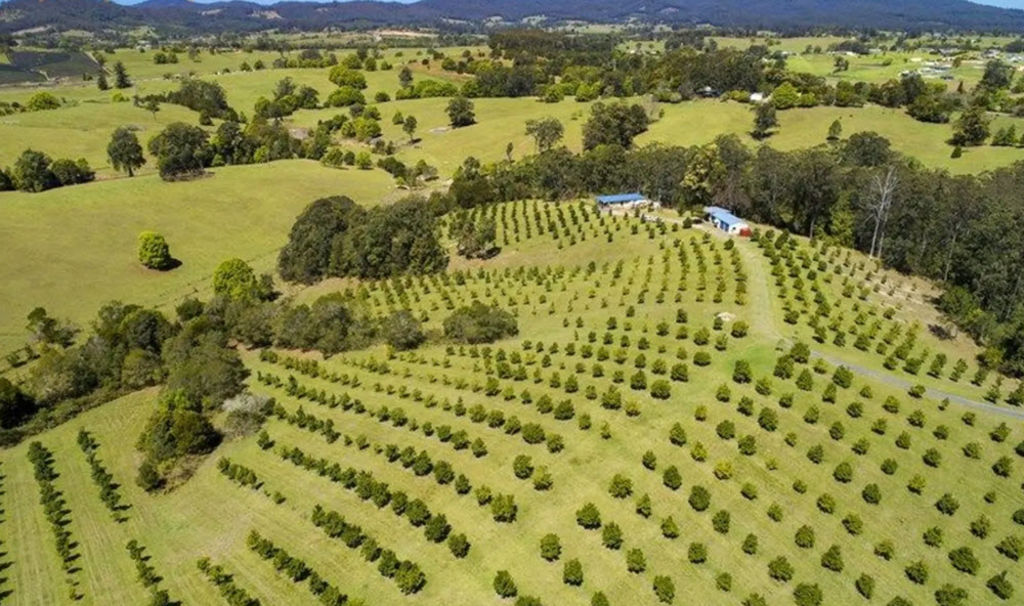 Six small farms for that tree change you’ve always dreamed about