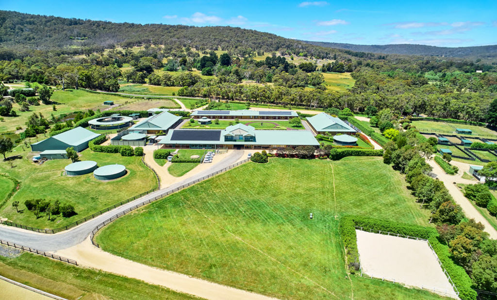 Macedon Lodge racehorse training facility on the market