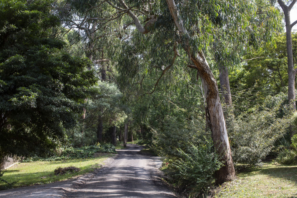 The natural environment in Upwey is calming, Helena says.  Photo: Stephen McKenzie