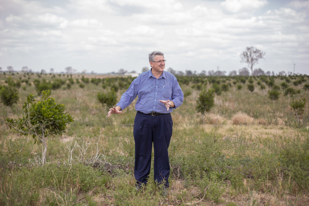 Real estate agent Tony Nioa has been instrumental in the sale of cane land to macadamia farmers. Photo: Tammy Law