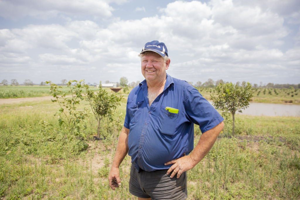 Mr Doyle has planted some macadamia nuts, but he's concerned it won't be enough to sustain him if his cane fails.  Photo: Tammy Law