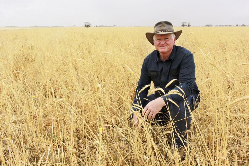 Steven Hobbs has embraced new farming techniques to help reduce emissions. Photo: Helen Hobbs