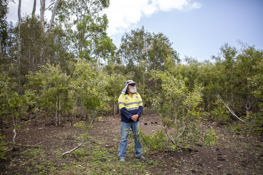 Mr Currie stands in a wetland he successfully refurbished. Photo: Tammy Law