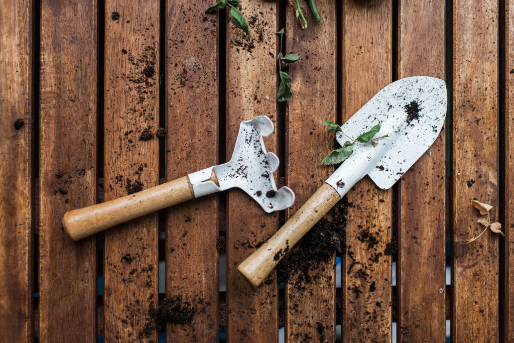 Urban gardens - tools of the trade Photo: Photographer: Zoran Djekic