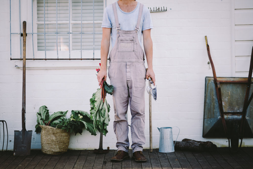 The six tools that every home gardener needs to own