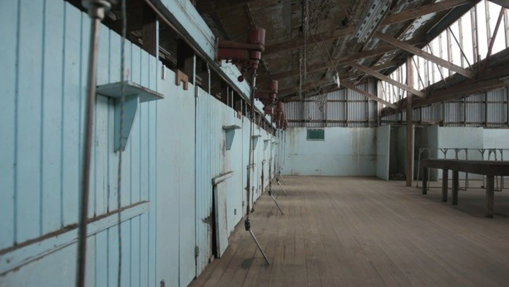 cullenswood-4
