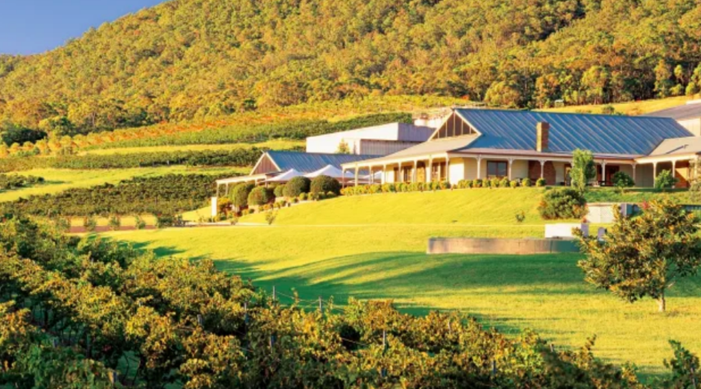 McWilliam's vineyards and wineries up for sale