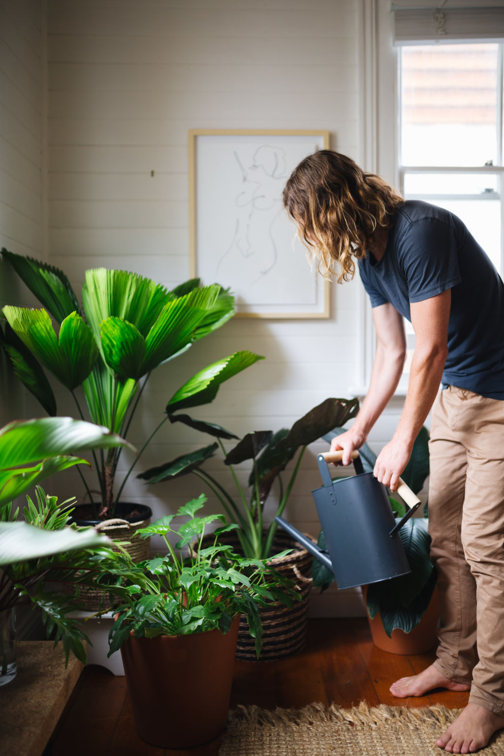Try to keep most of my indoor plants within two metres of natural light.  Photo: Alex Carlyle.