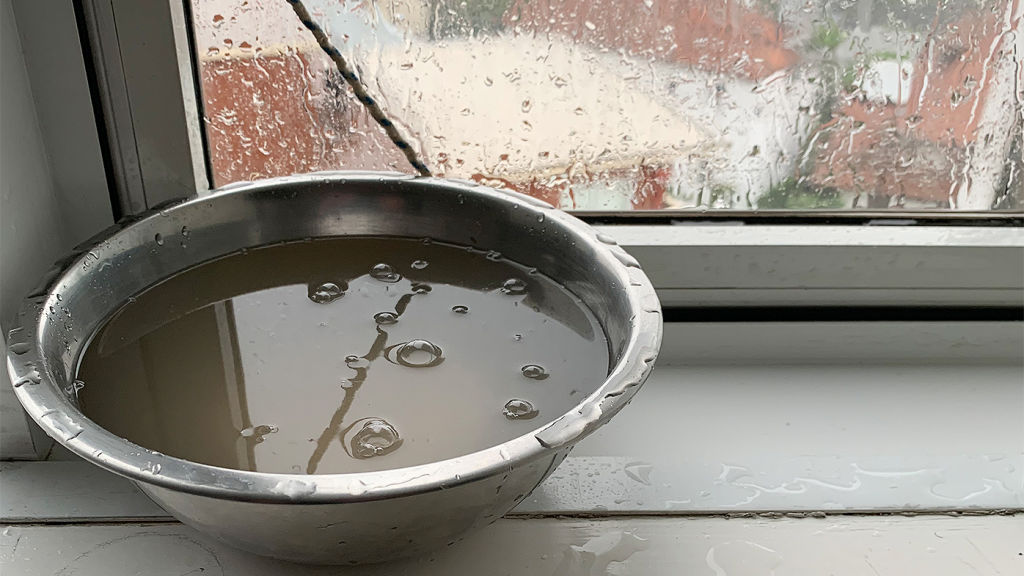 Trying to catch the leaks in Jan Newland's bedroom. Photo: Supplied