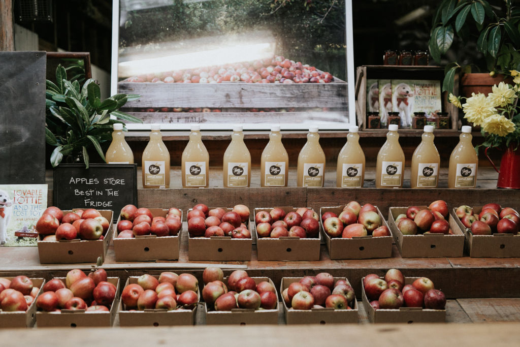 Stock up on apples in every form at Logan Brae Orchards Photo: Supplied