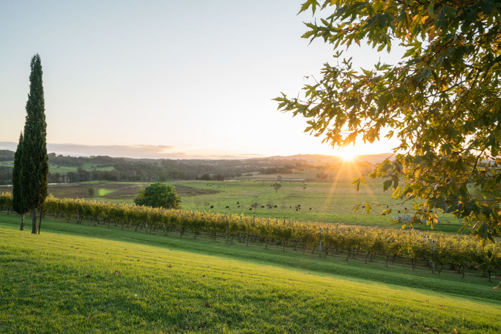 Cupitt's Estate Milton. Photo: Kramer Photography