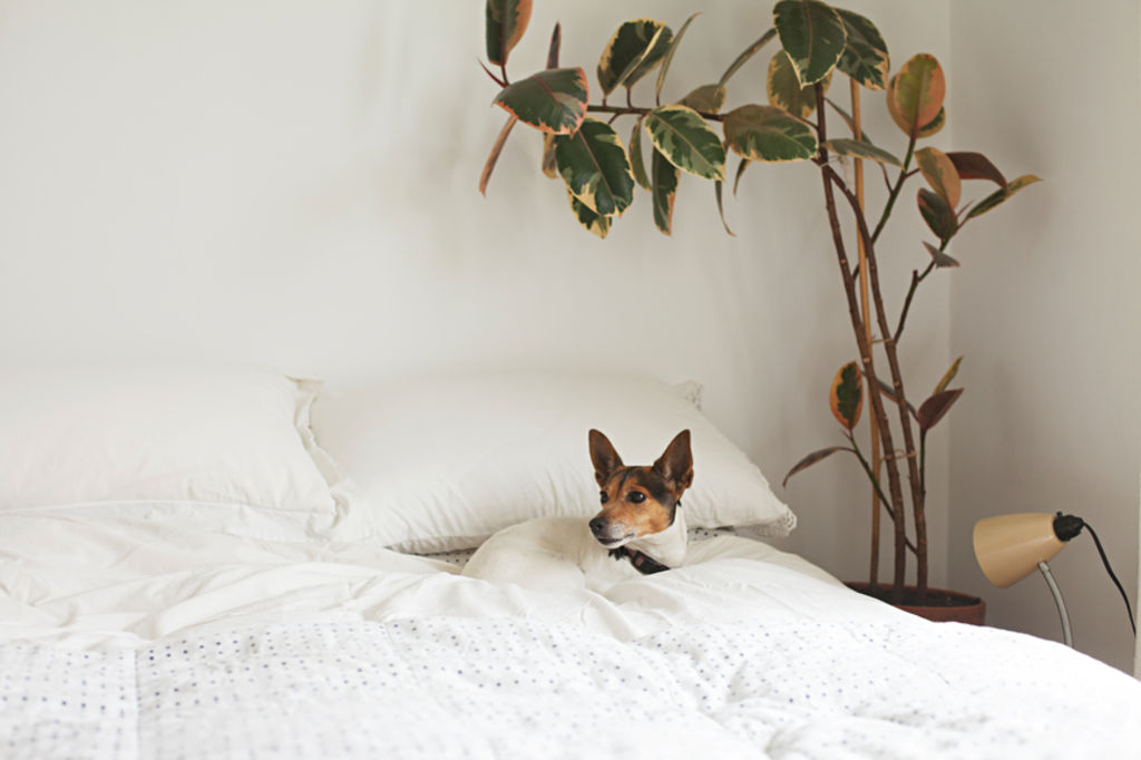 Cotton clothing and sheets will keep you cooler than synthetic materials. Photo: Stocksy