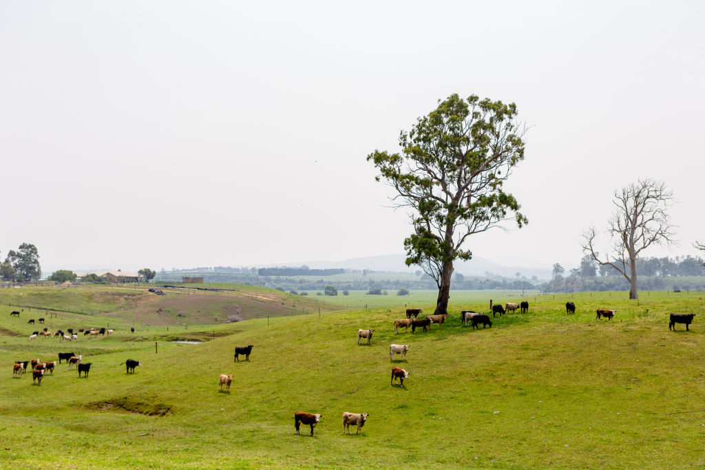 Produce is king in Bairnsdale. Photo: Greg Briggs