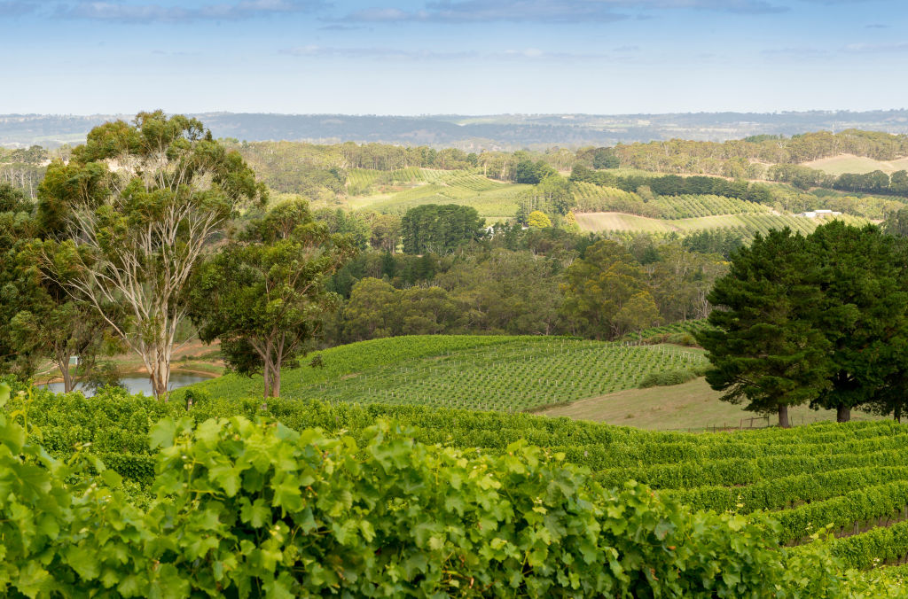 Head to South Australia for cheaper land options. Photo: Iain Bond