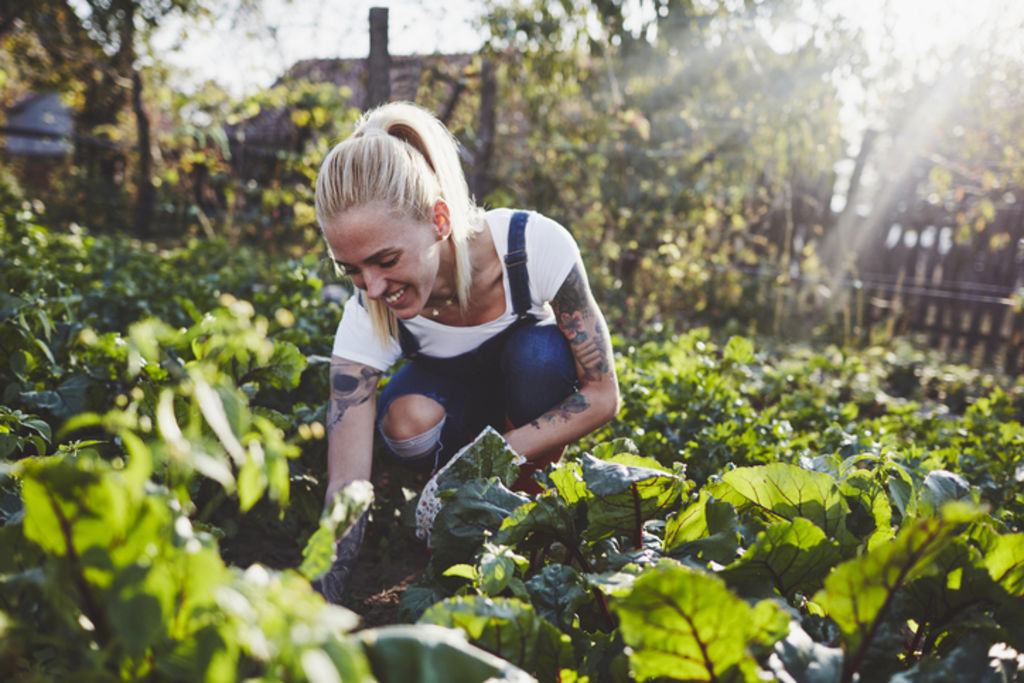 Knowing what to plant when will make all the difference to your end of season hauls. Photo: iStock