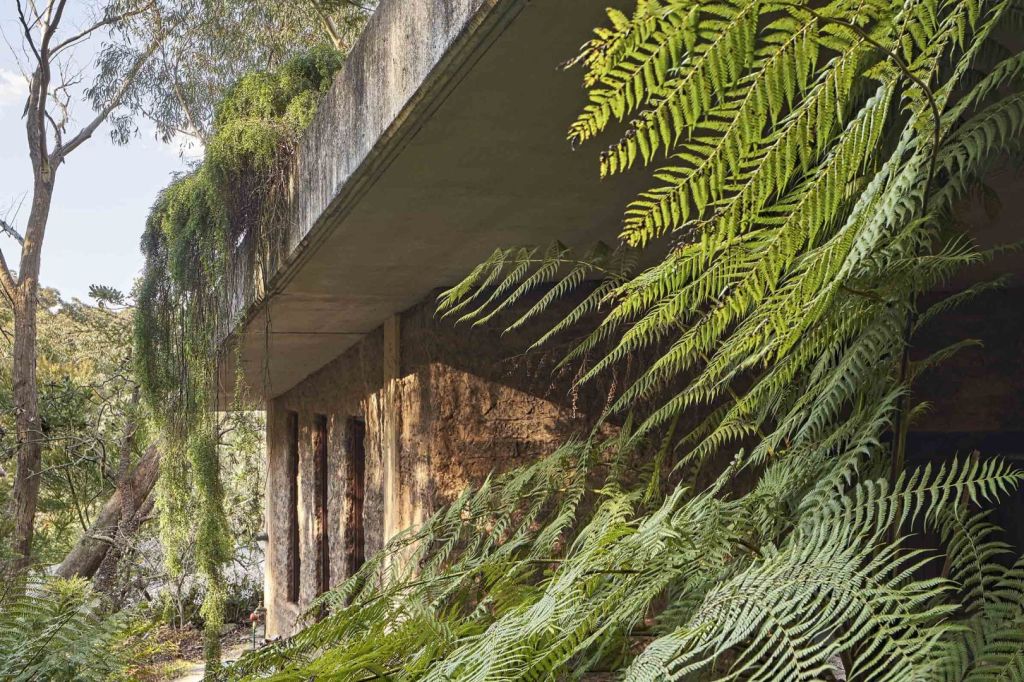 The home is nestled in the bush. Photo: Supplied