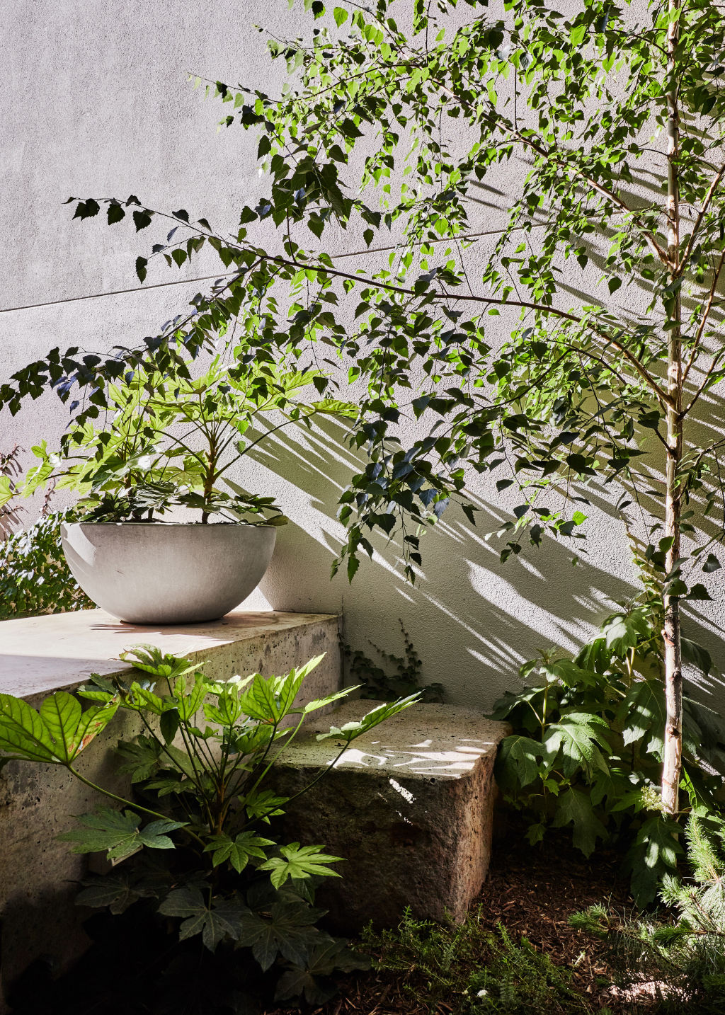 Australia S Top Gardening Experts Reveal The Big Outdoor Trends For 2020