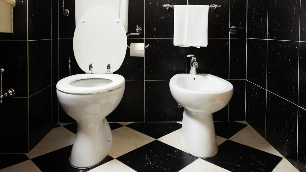 A bidet is far and away the most hygienic solution. But you need space and money for the fixture and plumbing. Photo: Stuff