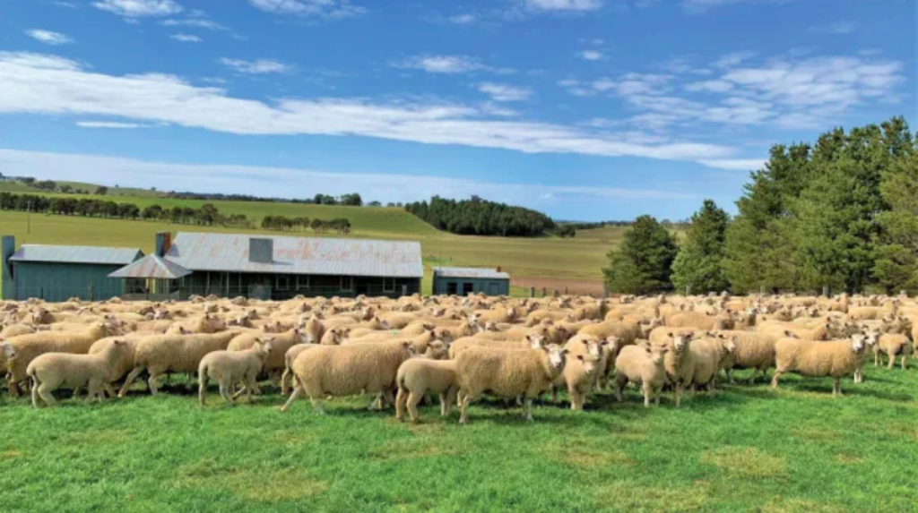 John B. Fairfax sells 'fat lamb factory' for $17m