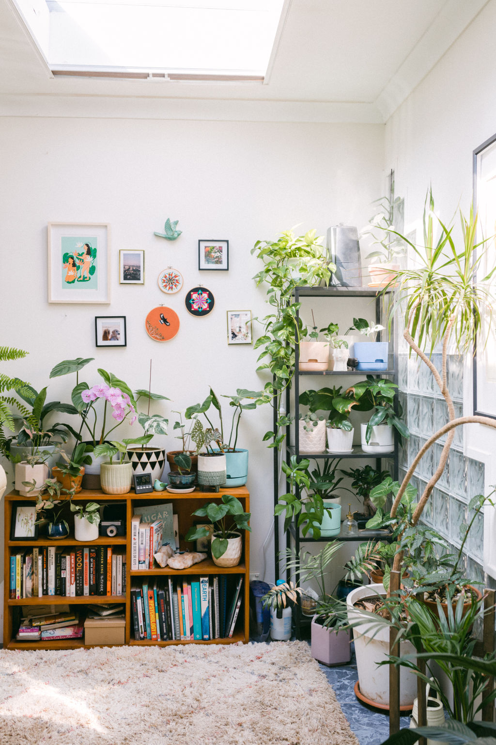 High house prices have left renters with no option than to create indoor gardens instead. Photo: Vaida Savickaite