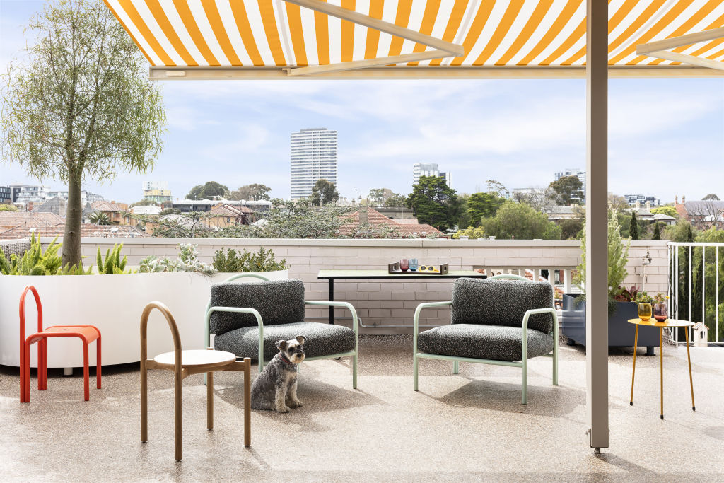 Tessa the dog. SBW Halo sofas and chairs. Landscaping by WOWOWA, In Design Company, Cultivate Nursery &amp; Gifts. Stylig: Ruth Welsby. Photo: Martina Gemmola