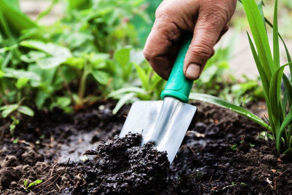 If you buy one gardening tool, make it a trowel.