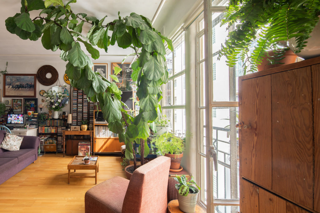 Gaylene Krajewski's apartment. Photo: Plant Life Balance