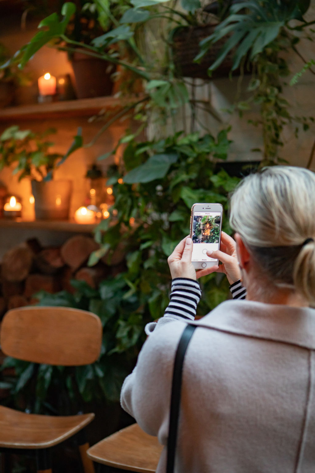 Social media is shaping how we buy indoor plants. Photo: Plant Life Balance